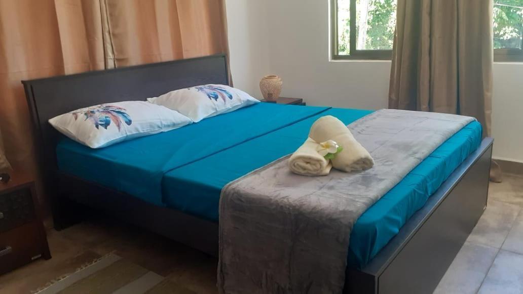 Riverside Mount Simpson Upper Beau Vallon  Exteriör bild