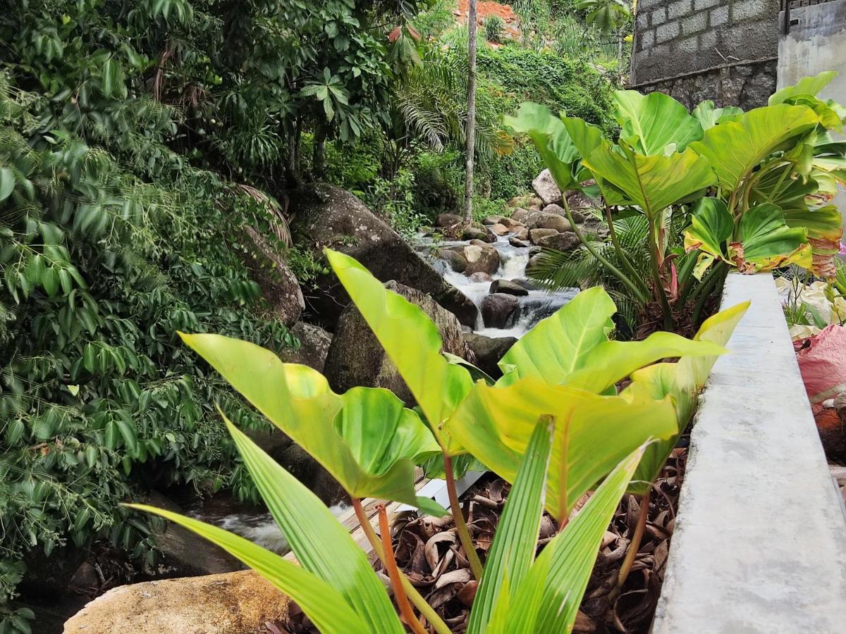 Riverside Mount Simpson Upper Beau Vallon  Exteriör bild